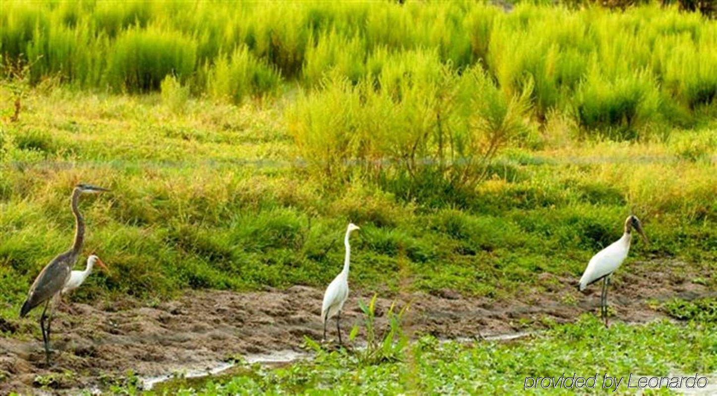 Hampton Inn Okeechobee - Lake Okeechobee Luaran gambar