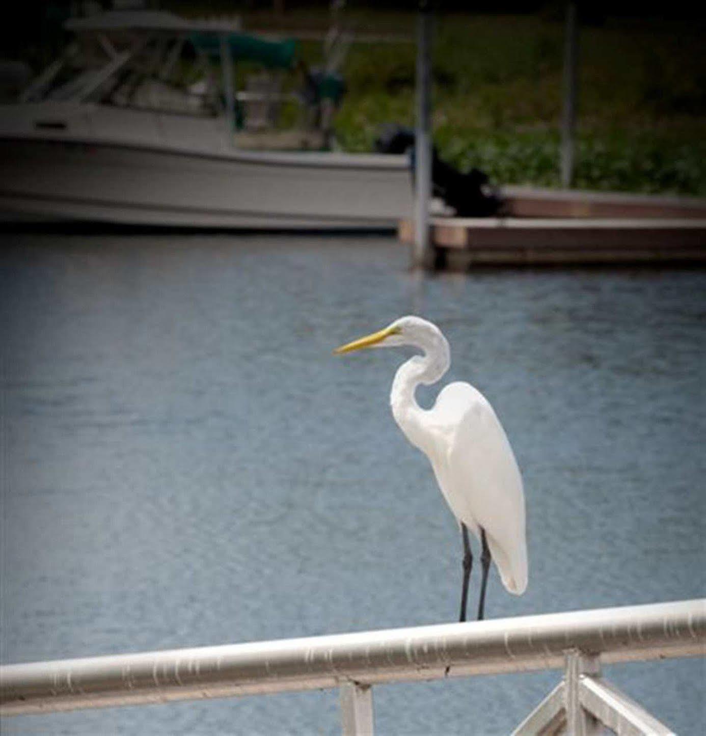 Hampton Inn Okeechobee - Lake Okeechobee Luaran gambar