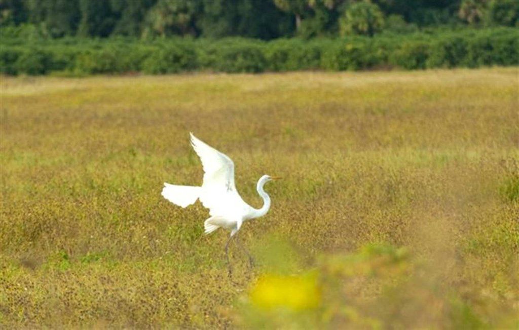 Hampton Inn Okeechobee - Lake Okeechobee Luaran gambar